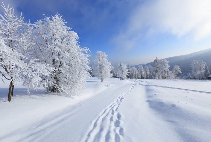 Richi`s Skischule - Outdoorcenter Ski School